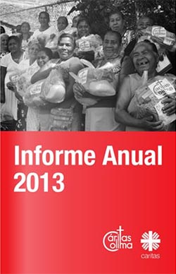 Informe 2013